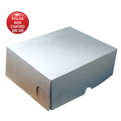 NT POLOS NON COATED 290 